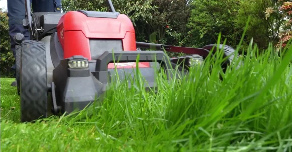 Reliable lawn maintenance service in Chattanooga