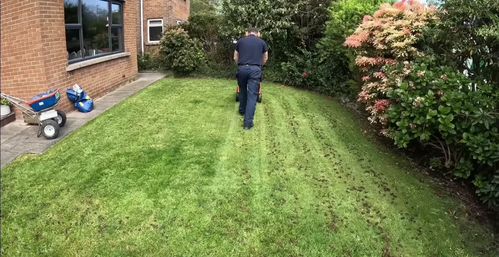 Certified lawn care practices for Chattanooga lawns