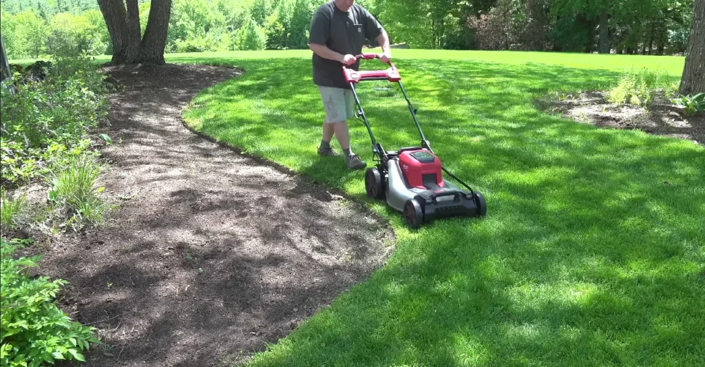 Free lawn evaluation for Chattanooga homeowners