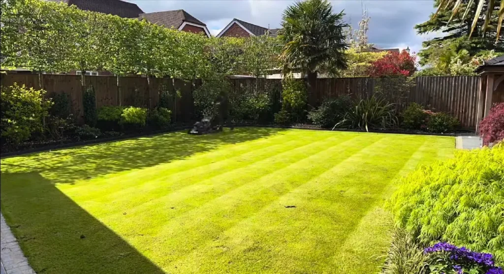 Cool-season and warm-season grass care in Chattanooga