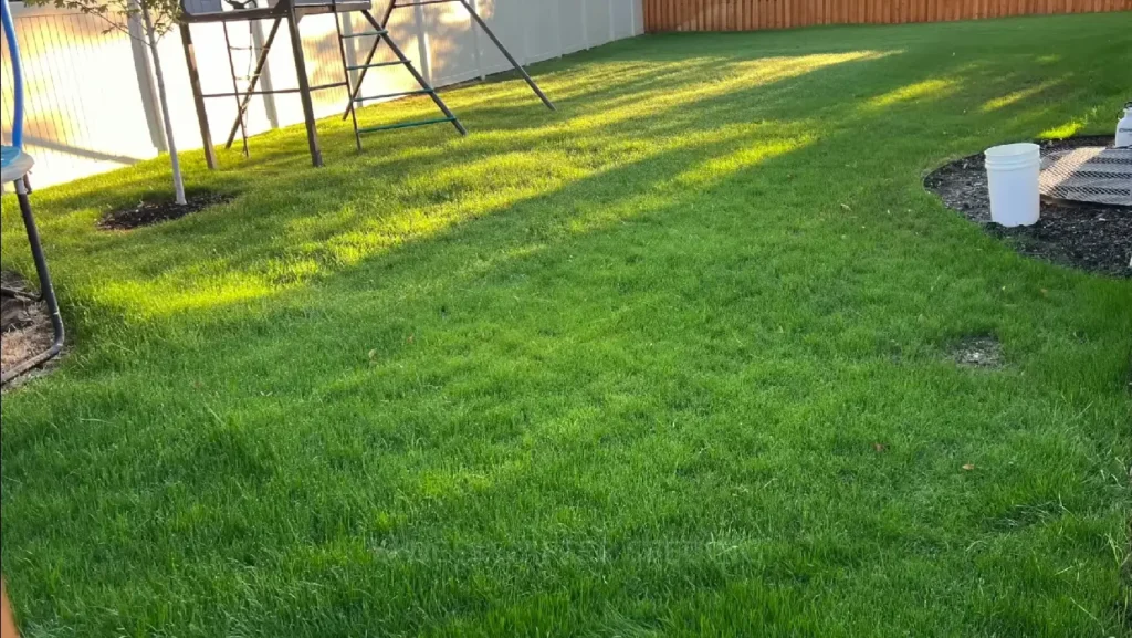 Lawn maintenance services for Chattanooga and surrounding areas