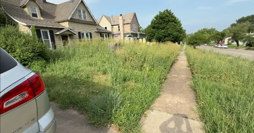 Tall fescue and Bermuda grass lawn in Chattanooga