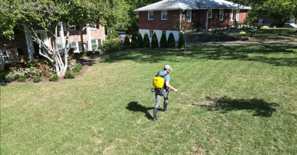 Fall fertilizer application for Chattanooga lawns