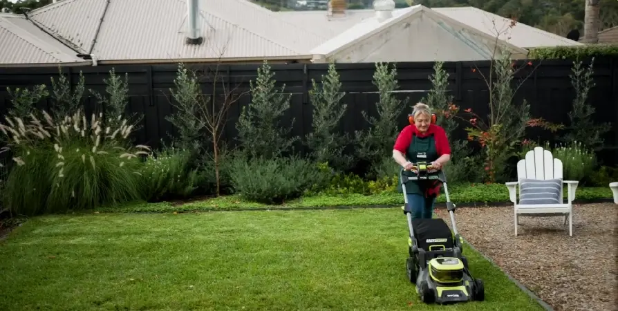 Winter lawn care in Chattanooga TN