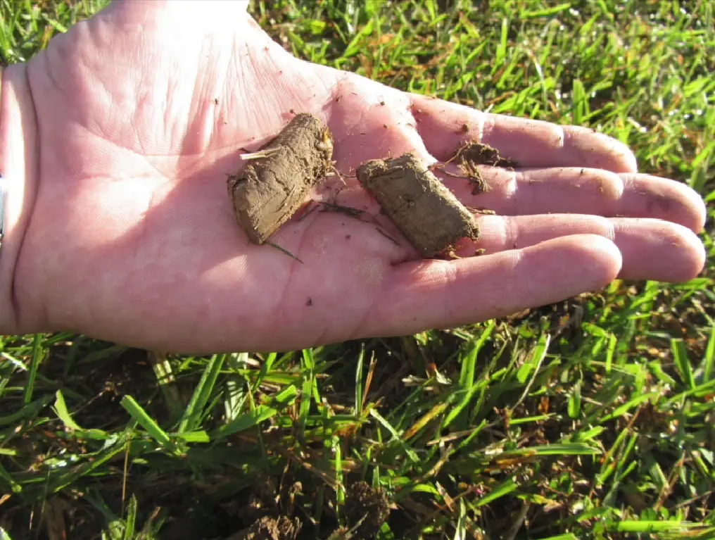 Lawn aeration and overseeding in Chattanooga TN