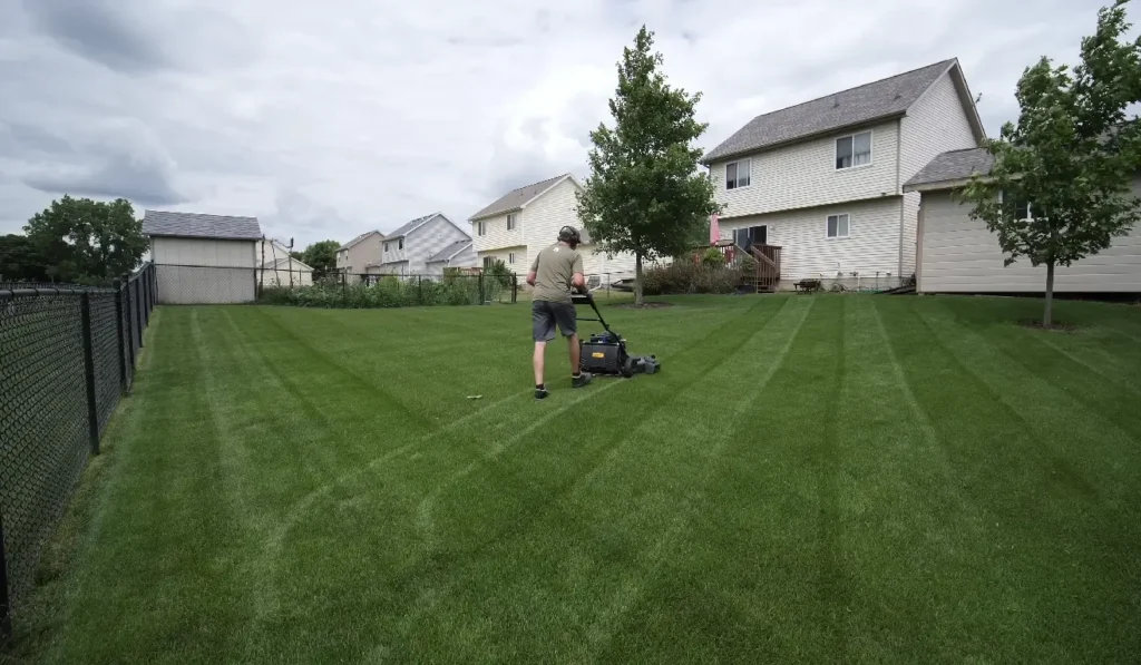 Aerated soil supporting stronger grass roots