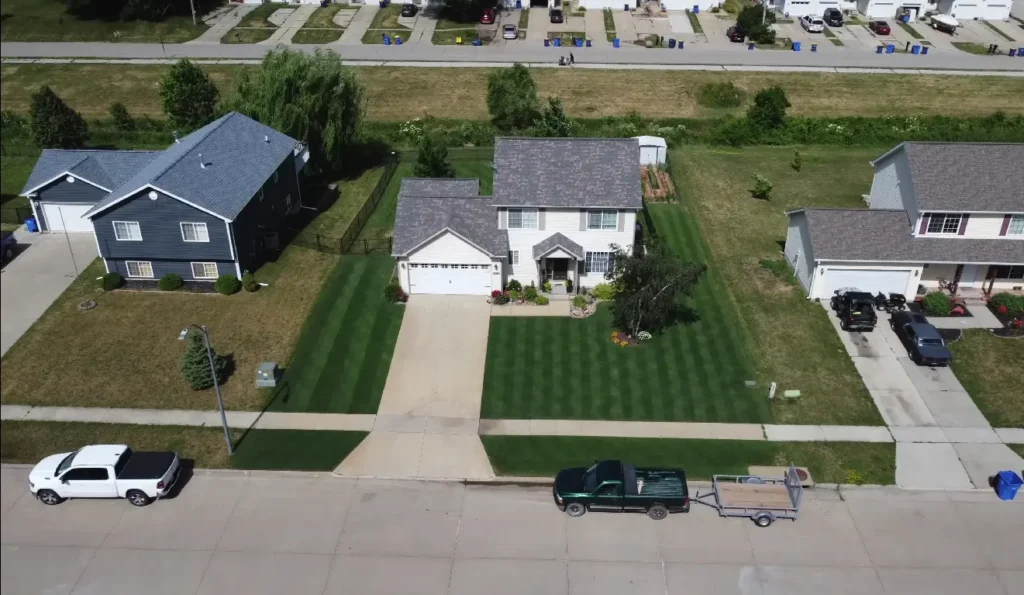 New grass growth after lawn overseeding