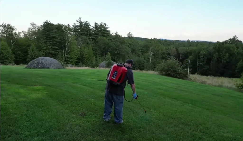 Professional weed control in Chattanooga TN
