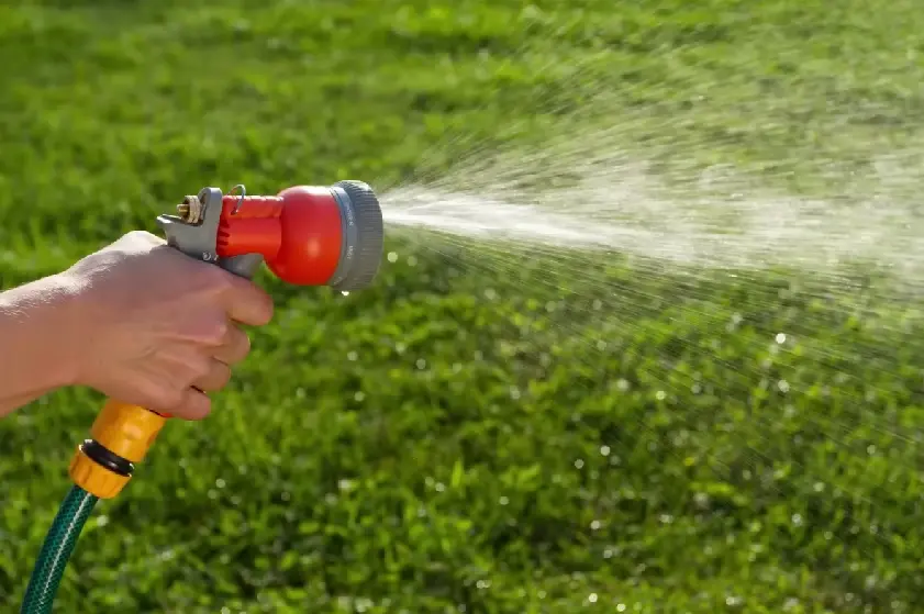 Preventive weed control for healthy Chattanooga lawns