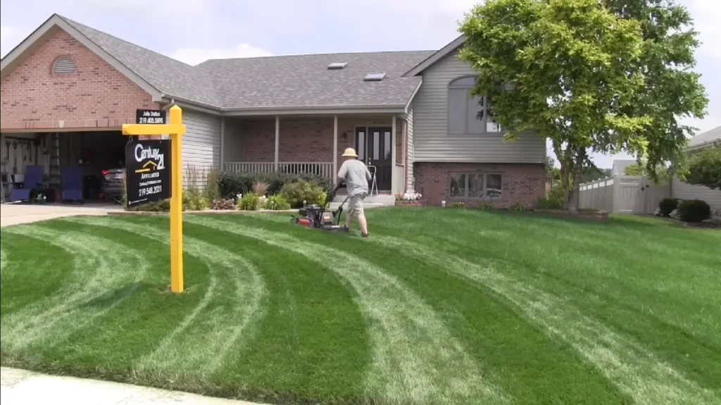 Professional weed control treatment in Chattanooga