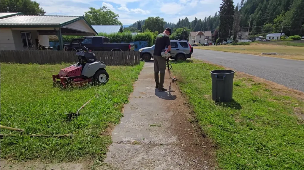 Professional weed control treatment in Chattanooga