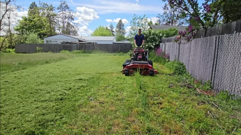 Best Grass Types for Lawns in Chattanooga, TN